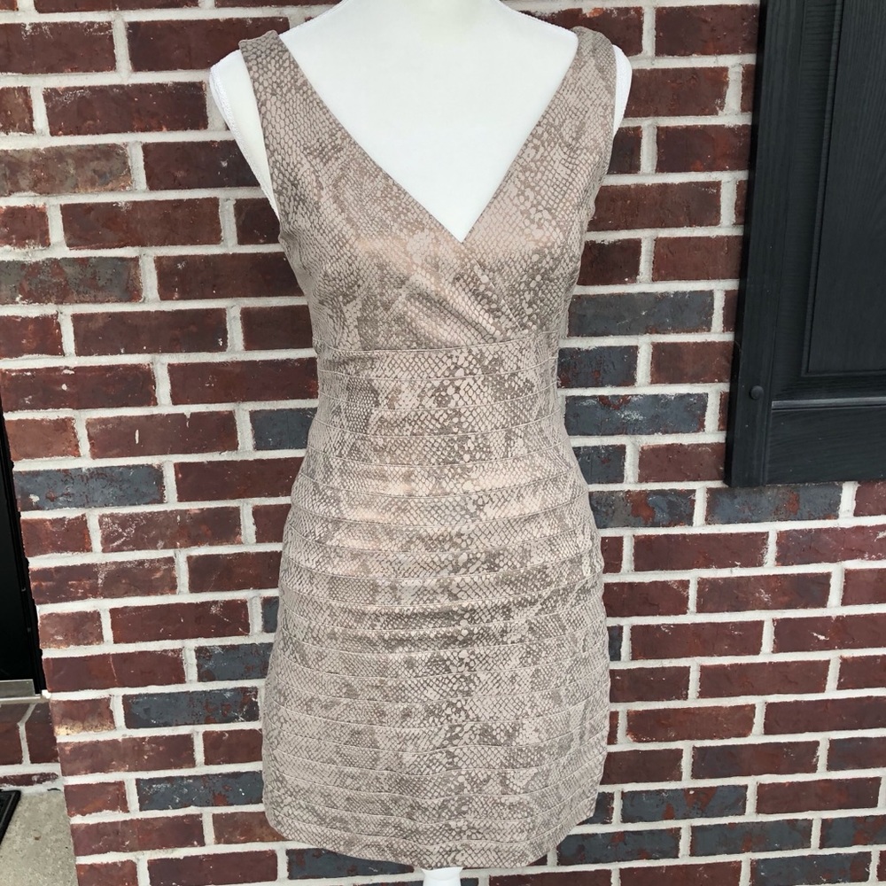 Express snakeskin ribbed cocktail dress